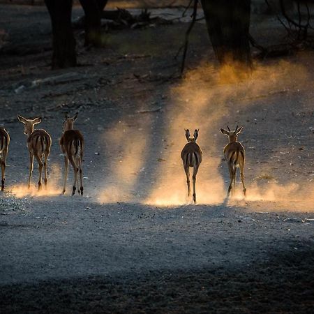 Gabus Safari Lodge Otavi Екстер'єр фото