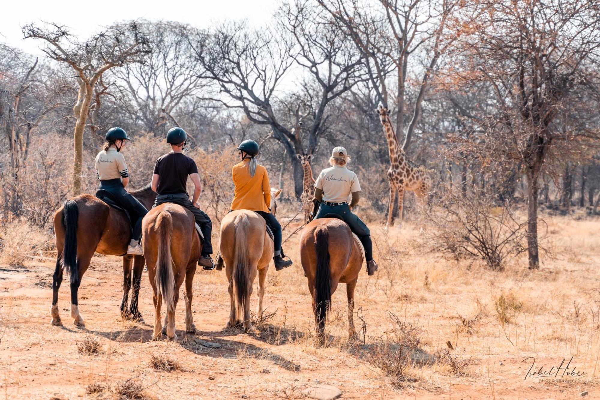 Gabus Safari Lodge Otavi Екстер'єр фото